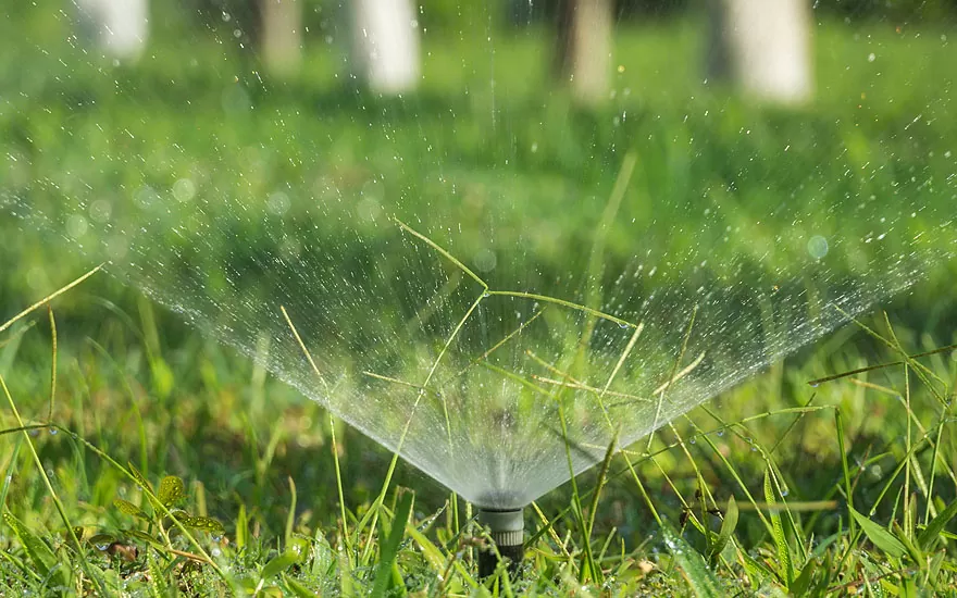 Rainbird producten stonelux